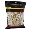 Maxfli 2.75'' Natural/White Golf Tees 500-Pack-MX182 -Golfworks Shop mx182 90642.1674185892